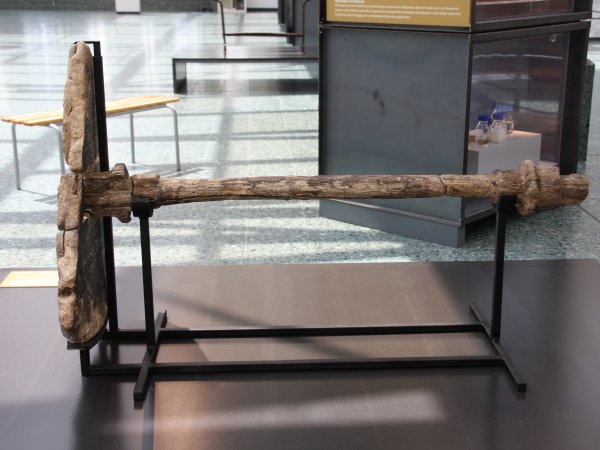 Objektträger - Rad aus Ljubljana (Kopie) - III