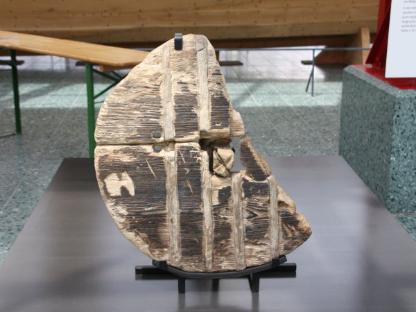 Objektträger - Rad aus Ljubljana (Kopie) - II