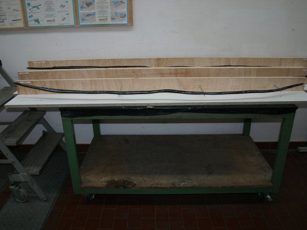 Supports für die Schöninger Speere - II